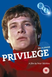 {28}_privilege_poster